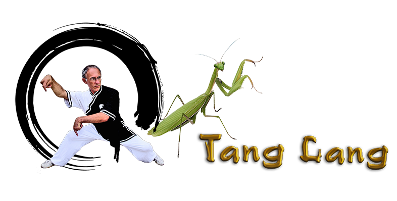 Tang lang taiji meihua (kung fu mante religieuse) grenoble